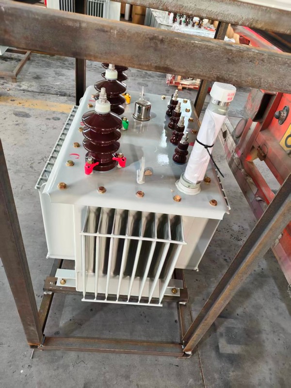 S13‑1000kVA <a href='https://tianjun.xdbyq.cn/youjinshi/' target='_blank' title='天峻油浸式变压器'><strong>天峻油浸式变压器</strong></a> 大型厂区 S13 天峻天峻天峻油浸式变压器 S13‑1000kVA 天峻天峻天峻油浸式变压器 大型厂区 S13 天峻天峻天峻油浸式变压器